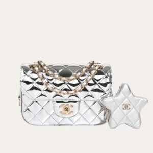 Chanel Mini Flap Bag Star Coin Purse Silver 9.4 Inches AS4648 B14873 Nt666