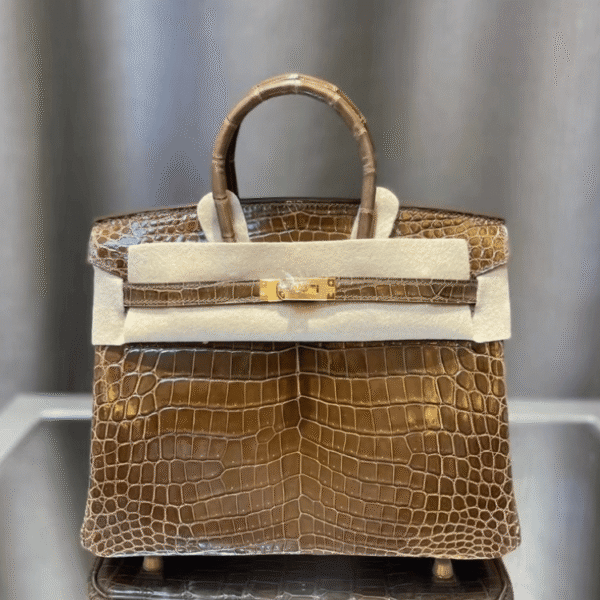 1-388.png Hermès Birkin Bag Brown Crocodile 9.8 Inches