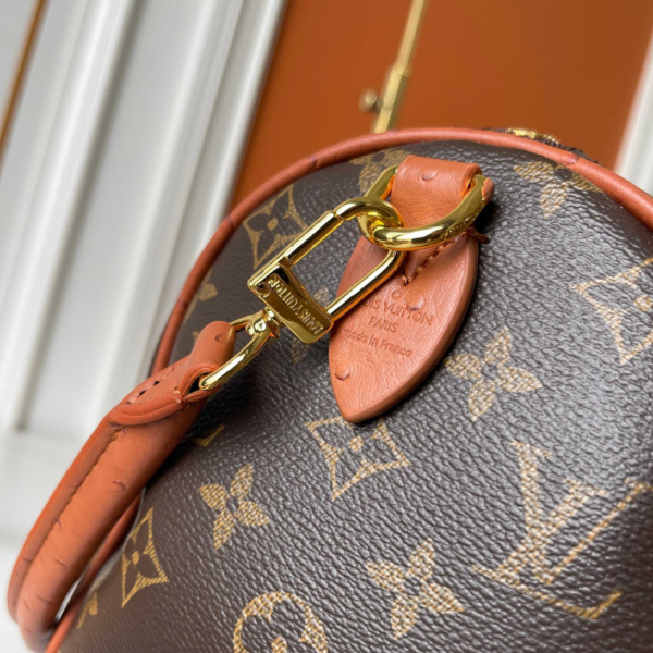 Louis Vuitton Speedy Soft 30 Boho 11.8 Inches N87212