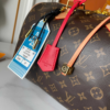 Louis Vuitton Speedy Soft 30 Crafty 11.8 Inches M11945