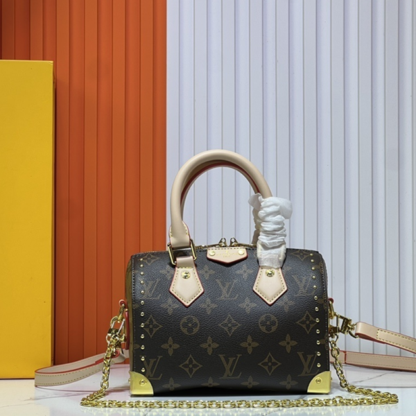 Louis Vuitton Speedy Trunk Bag 20 8.1 Inches M13146