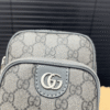 Gucci Ophidia Gg Mini Messenger Bag Grey 7 Inches