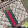 Gucci Ophidia Small Camera Bag Beige 9.4 Inches 739392 96LWT 8745