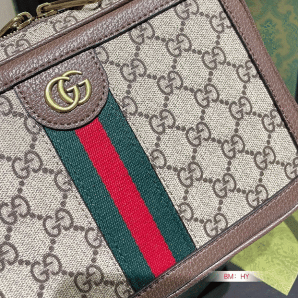 Gucci Ophidia Small Camera Bag Beige 9.4 Inches 739392 96LWT 8745