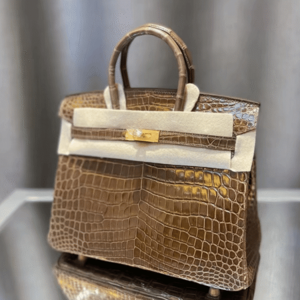 3-373.png Hermès Birkin Bag Brown Crocodile 9.8 Inches