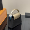 Louis Vuitton Capucines Mini Handle Black 8.3 Inches