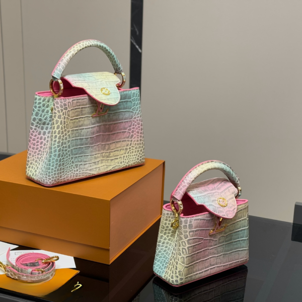 Louis Vuitton Capucines Mini Pastel Gradient 8.3 Inches