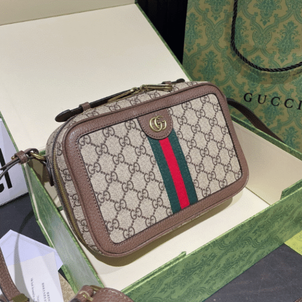 Gucci Ophidia Small Camera Bag Beige 9.4 Inches 739392 96LWT 8745