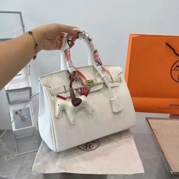 56-1.jpg Hermes Birkin 25 Gold Hardware Epsom White 25Cm