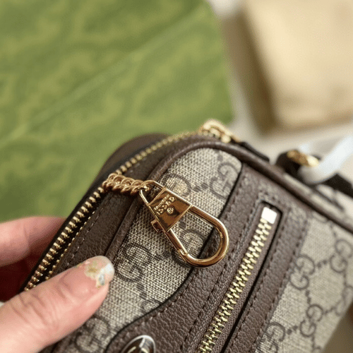 6-68 Gucci Ophidia Gg Mini Camera Bag Brown 6.3 Inches