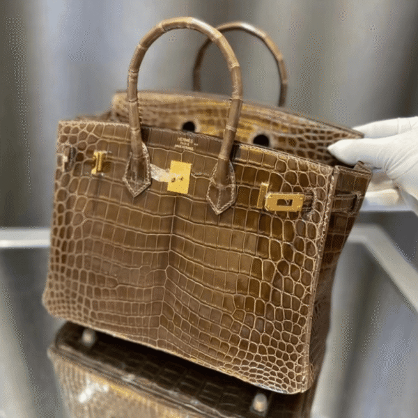 7-66.png Hermès Birkin Bag Brown Crocodile 9.8 Inches