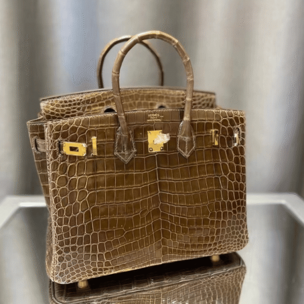 8-16.png Hermès Birkin Bag Brown Crocodile 9.8 Inches