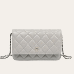 Chanel Flap Bag Woc (Wallet On Chain) Grey 7.5 Inches