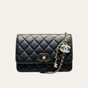 Chanel Coin Charm Flap Bag Black 7.5 Inches