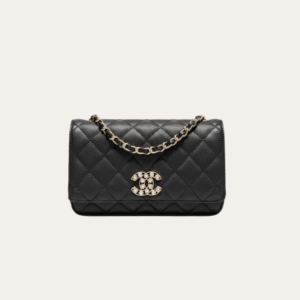 Chanel Flap Bag Woc (Wallet On Chain) Black 7.5 Inches