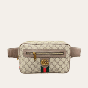 Gucci Ophidia Gg Belt Bag Grey 9.4 Inches