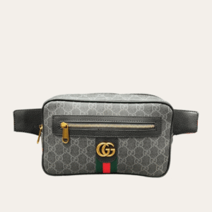 Gucci Ophidia Gg Belt Bag Brown 9.4 Inches