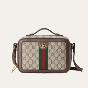 Gucci Ophidia Small Camera Bag Beige 9.4 Inches 739392 96LWT 8745
