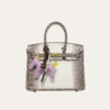 AURHM-BAG1010-1.png Hermès Birkin Bag 25 White Crocodile Pattern 10.2 Inches