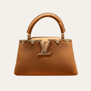 Louis Vuitton Capucines Nano Bag Brown 8.7 Inches