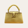 Louis Vuitton Capucines Nano Bag Yellow 8.7 Inches