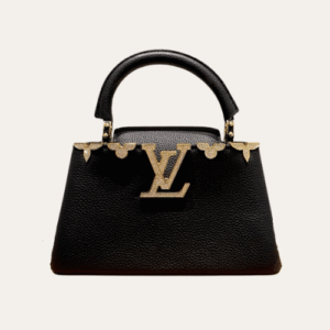 Louis Vuitton Capucines Nano Bag Black 8.7 Inches