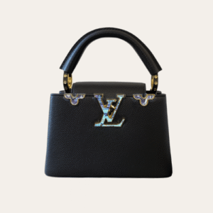 Louis Vuitton Capucines Mini Black 7.9 Inches
