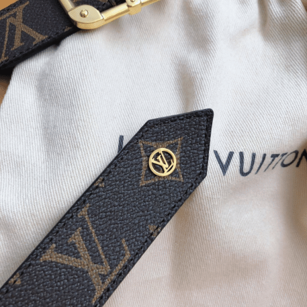 Louis Vuitton Belt Monogram Brown Golden